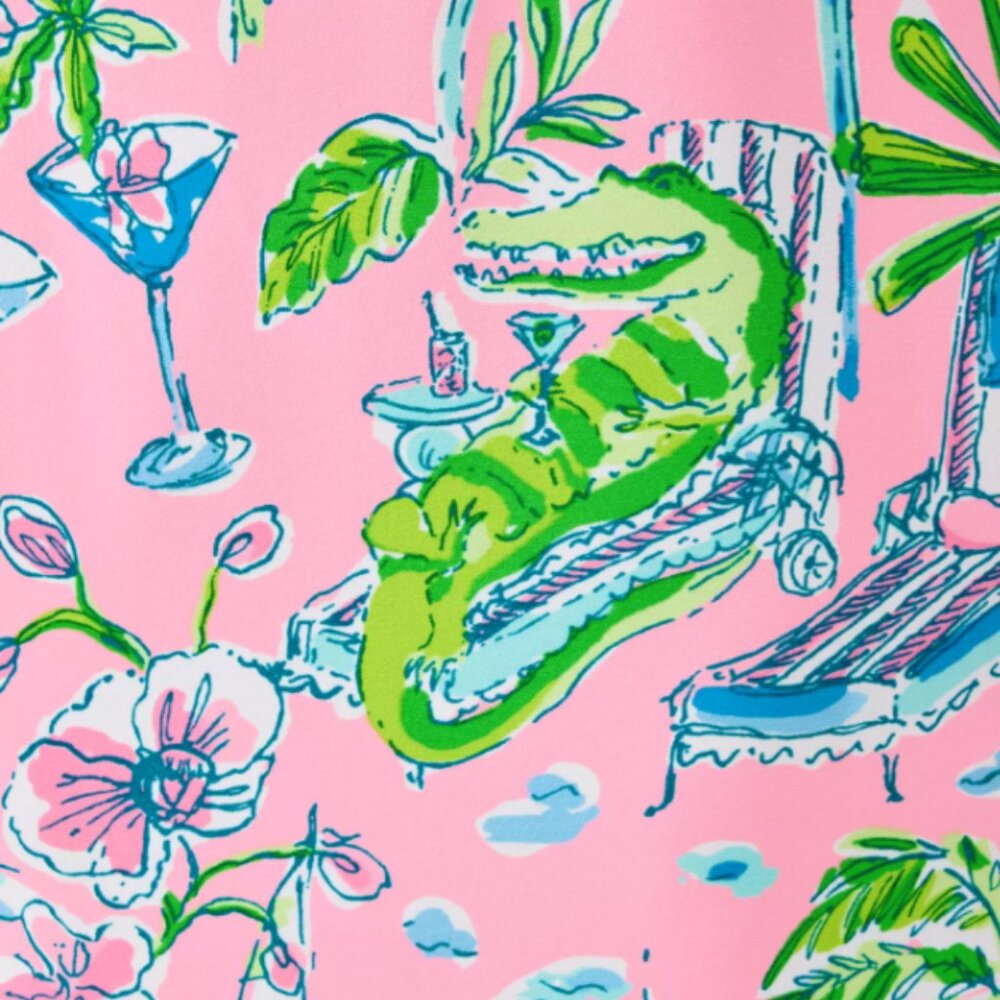 Lilly Pulitzer Ocleppo V-Neck Maxi Caftan Size 10 in Conch Shell Pink Sunny Dee - Picture 2 of 11